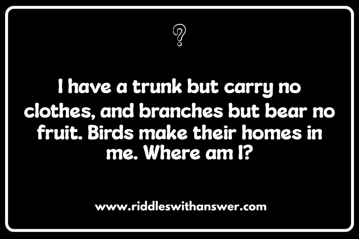 Crafting Clever Where Am I Riddles for Kids Crafting Clever Where Am I Riddles for Kids