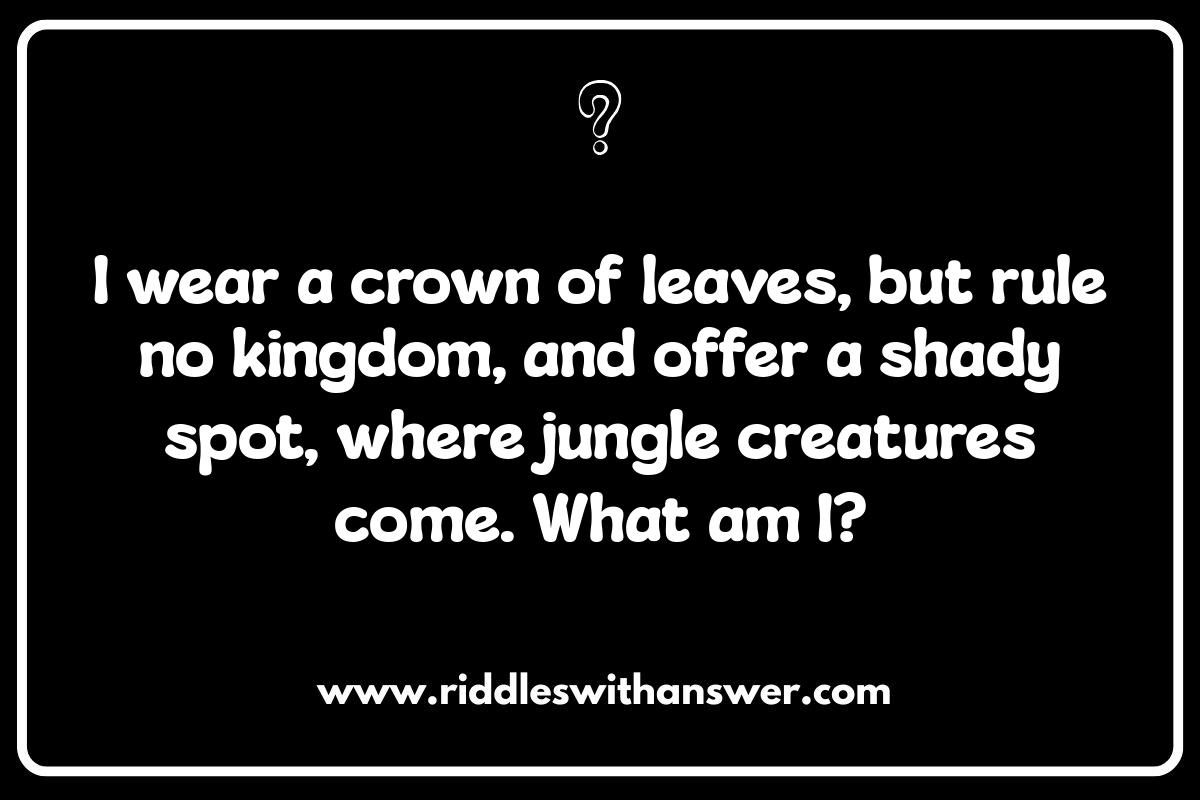 Creative Thinking: Jungle Riddles for Kids Creative Thinking: Jungle Riddles for Kids