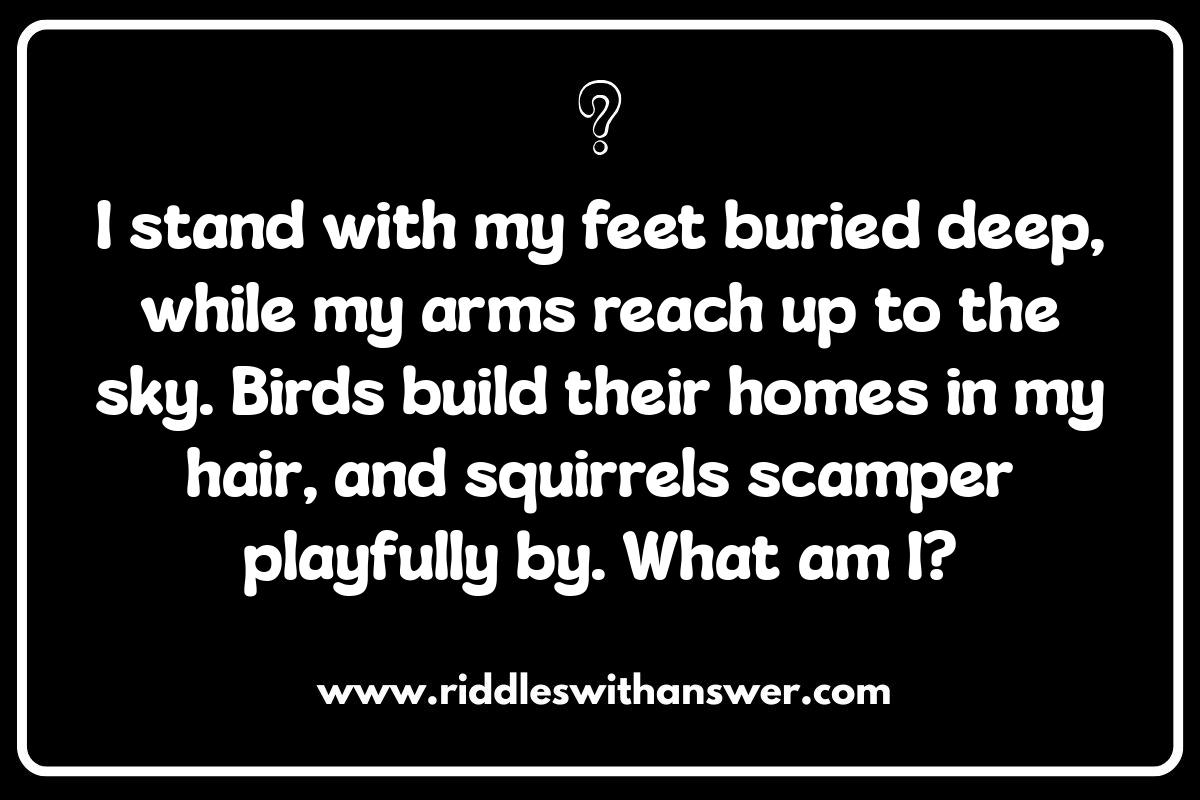 Creative Tree Riddles for Kids: Encouraging Imagination Creative Tree Riddles for Kids: Encouraging Imagination