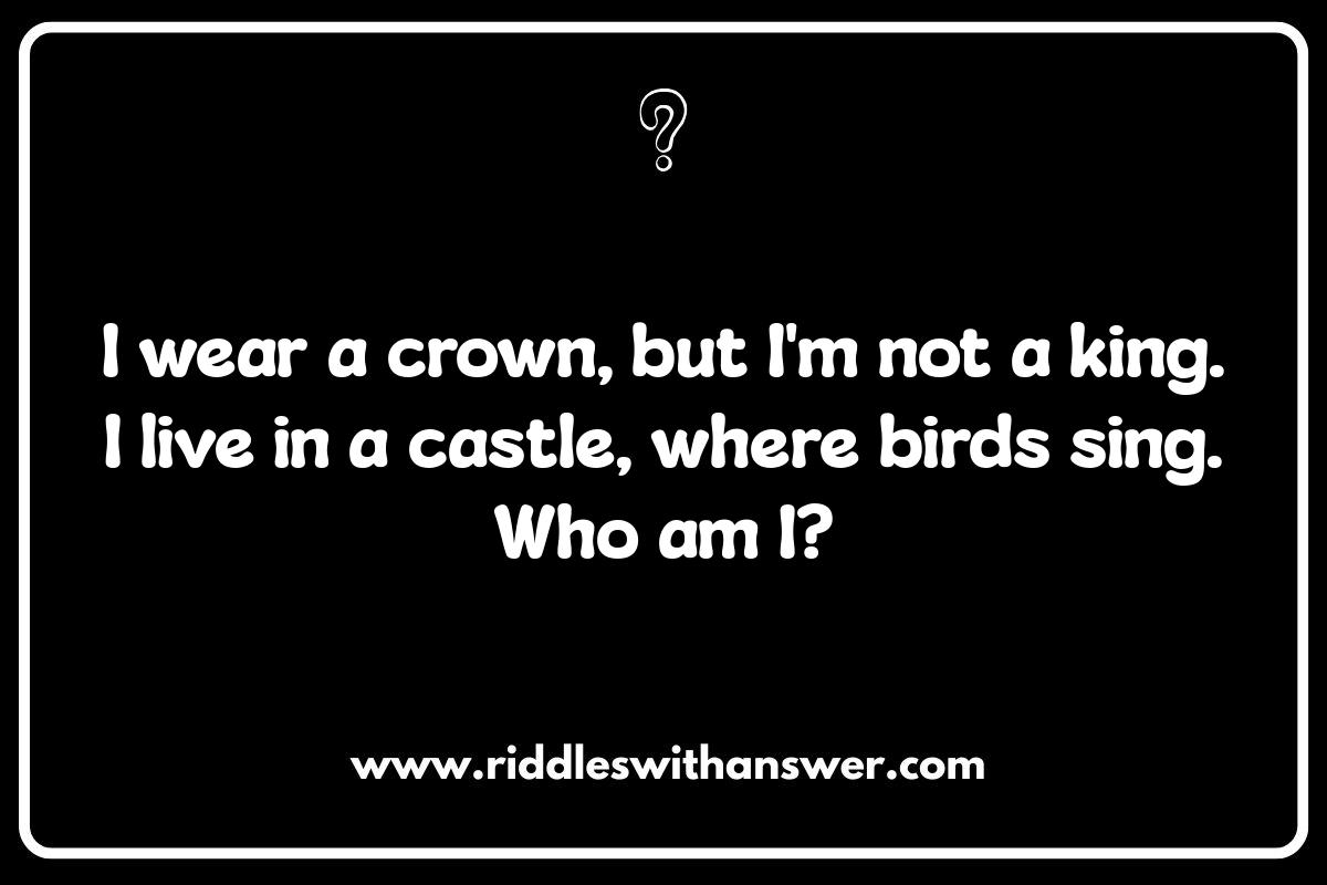 Easy Princess Riddles for Kids: Perfect for Younger Children Easy Princess Riddles for Kids: Perfect for Younger Children
