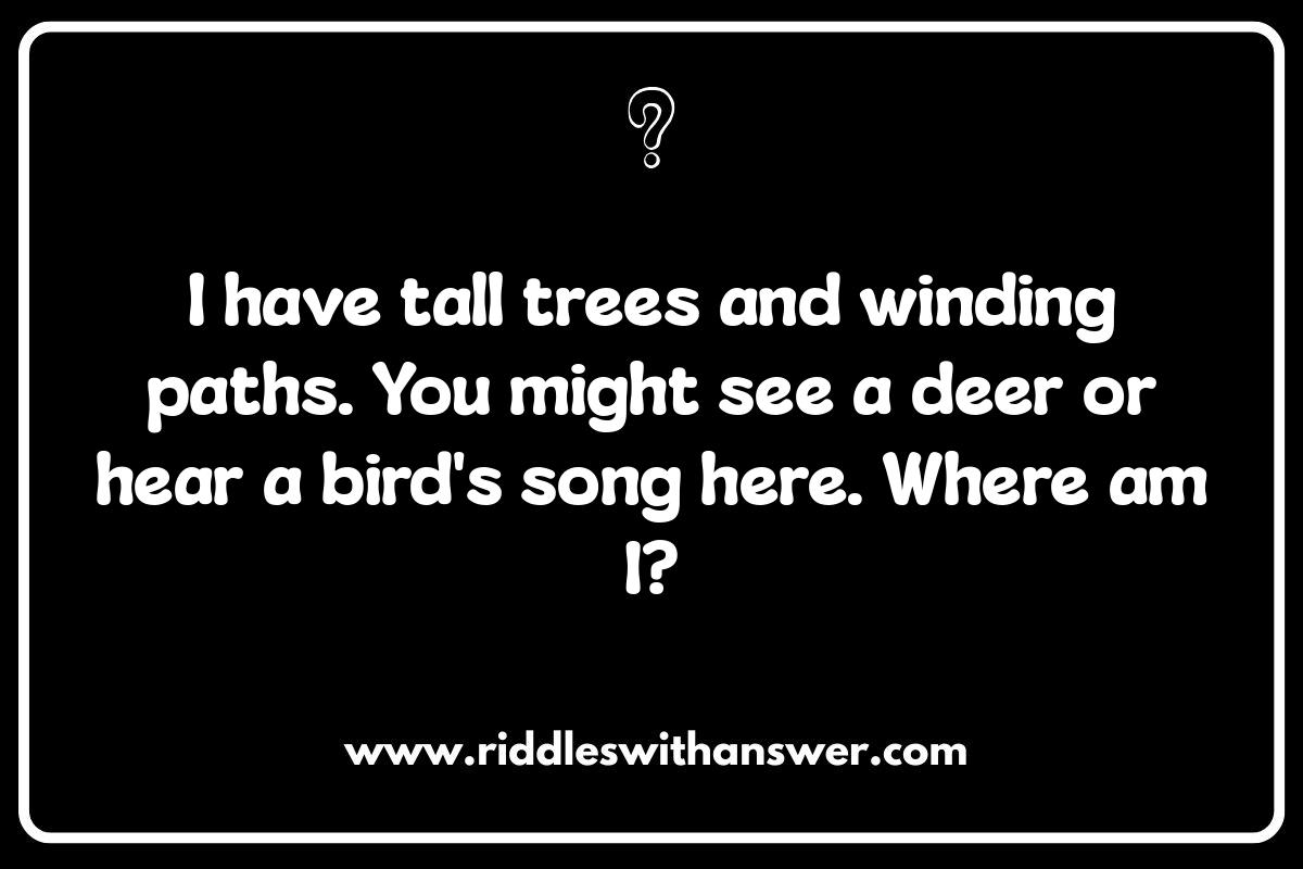 Easy Where Am I Riddles: Exploring Nature's Hidden Spots Easy Where Am I Riddles: Exploring Nature's Hidden Spots