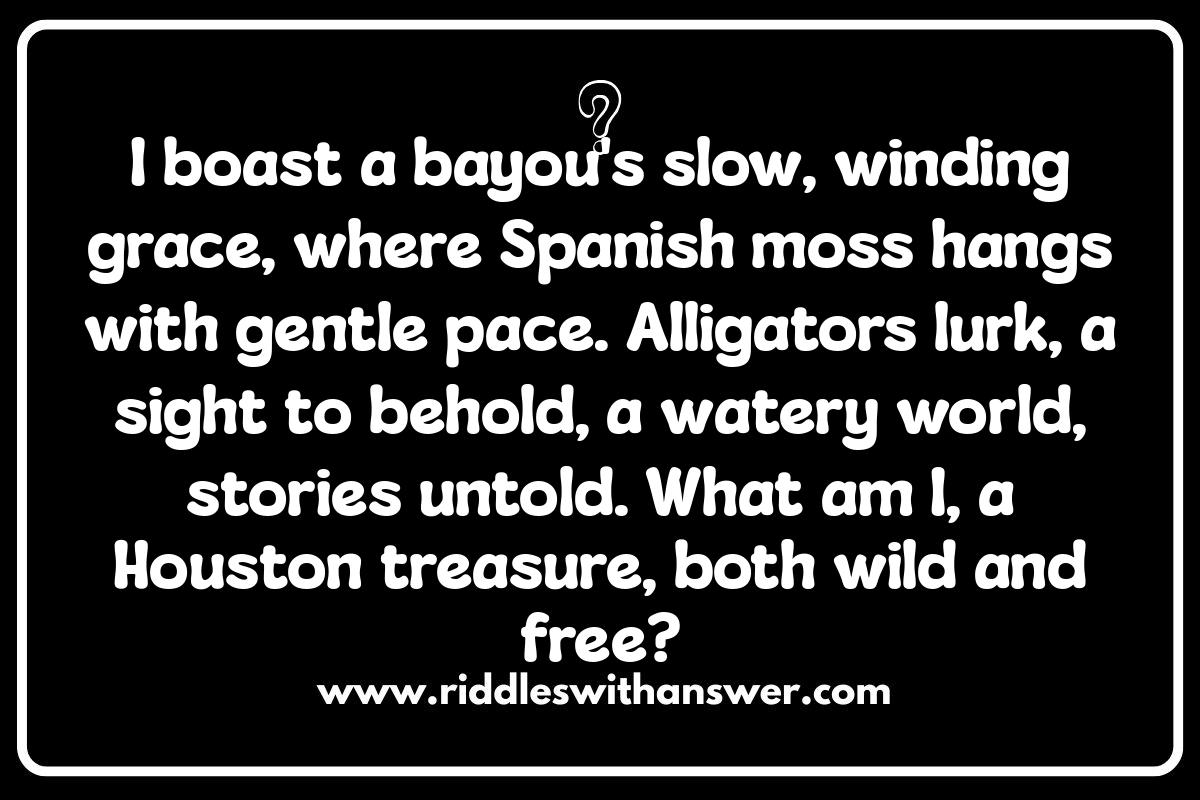 Houston Riddles: A Texan Twist on Brain Teasers Houston Riddles: A Texan Twist on Brain Teasers