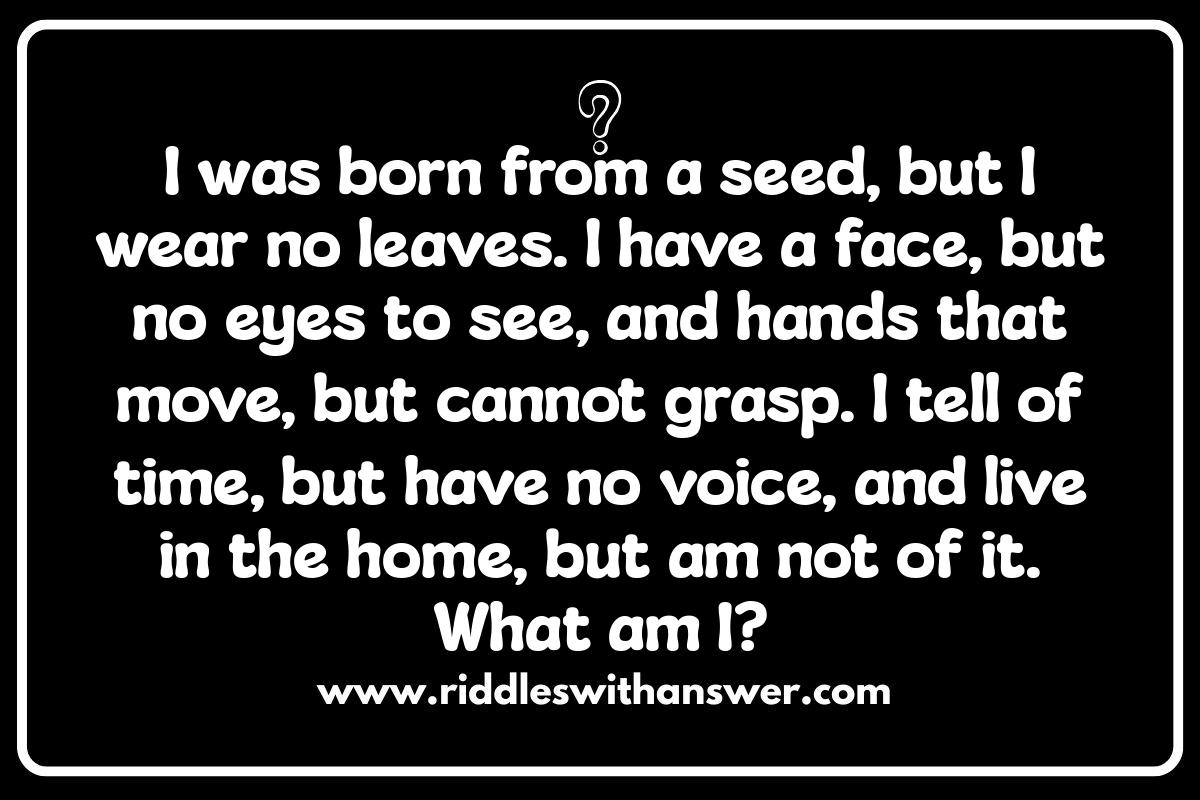 The Magic of Narrative: Story-Based Riddles Explained The Magic of Narrative: Story-Based Riddles Explained