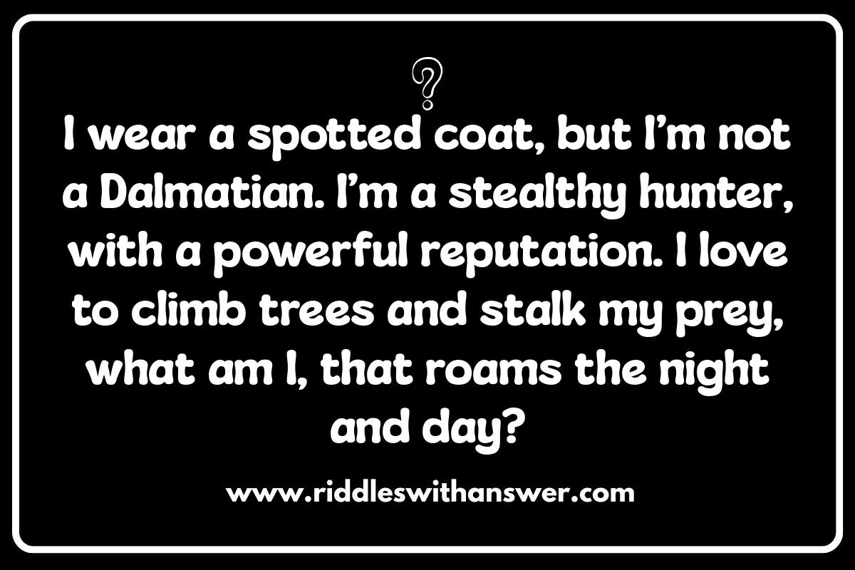 Animal Kingdom Puzzles: The Popularity of Zoo Animal Riddles Animal Kingdom Puzzles: The Popularity of Zoo Animal Riddles