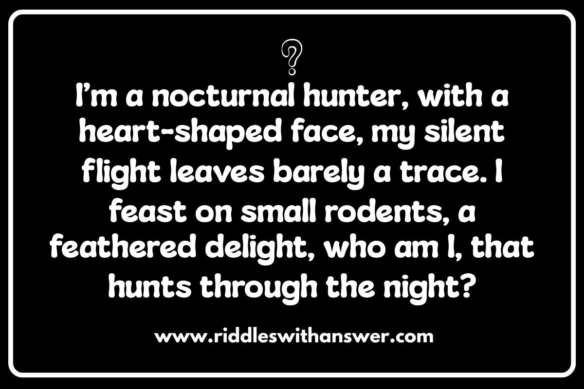 Animal Riddles: A Fun Way to Learn About Wildlife Animal Riddles: A Fun Way to Learn About Wildlife