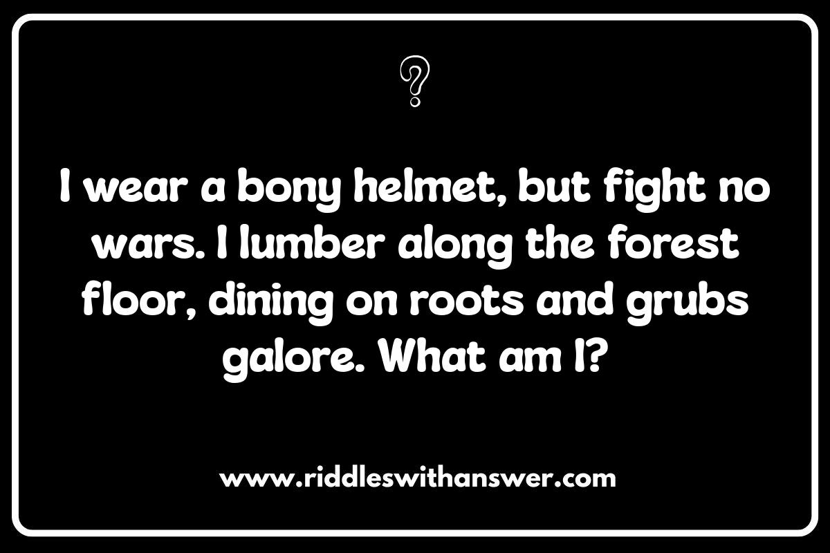 Animal Riddles: Brain Teasers for Animal Lovers Animal Riddles: Brain Teasers for Animal Lovers
