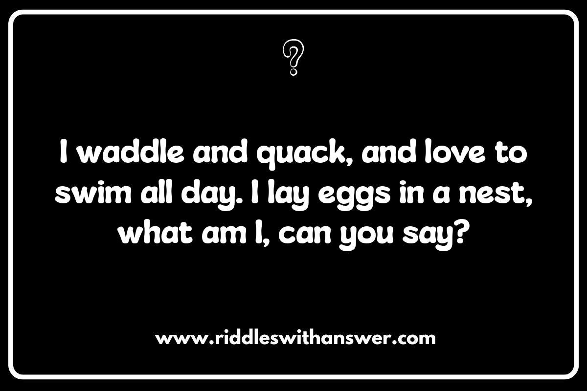 Animal Who Am I Riddles: Engaging Kids with Nature's Clues Animal Who Am I Riddles: Engaging Kids with Nature's Clues