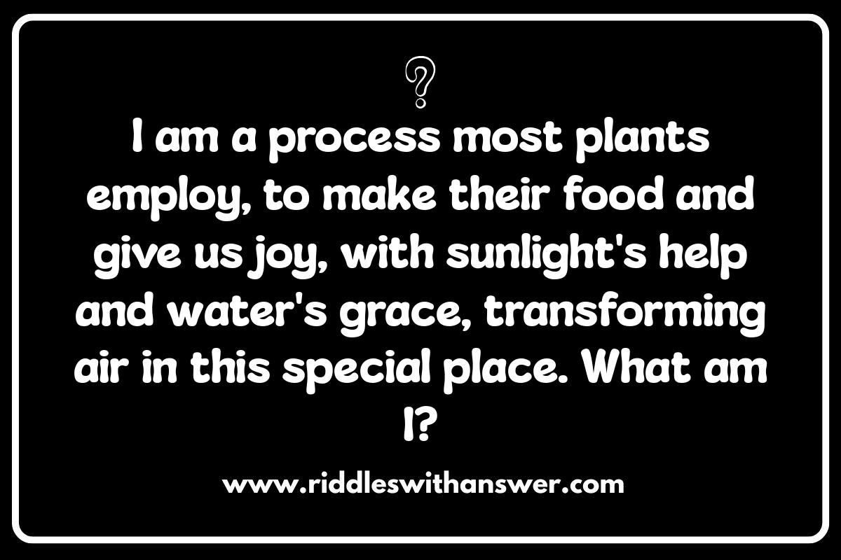 Biology Riddles: Photosynthesis Puzzles and Plant Predicaments Biology Riddles: Photosynthesis Puzzles and Plant Predicaments