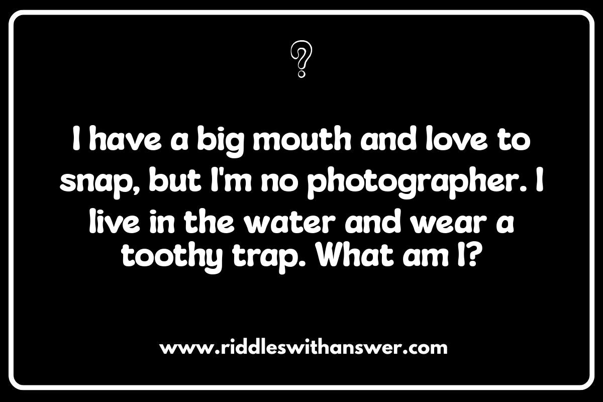 Cute and Funny Animal Riddles: Test Your Wits! Cute and Funny Animal Riddles: Test Your Wits!