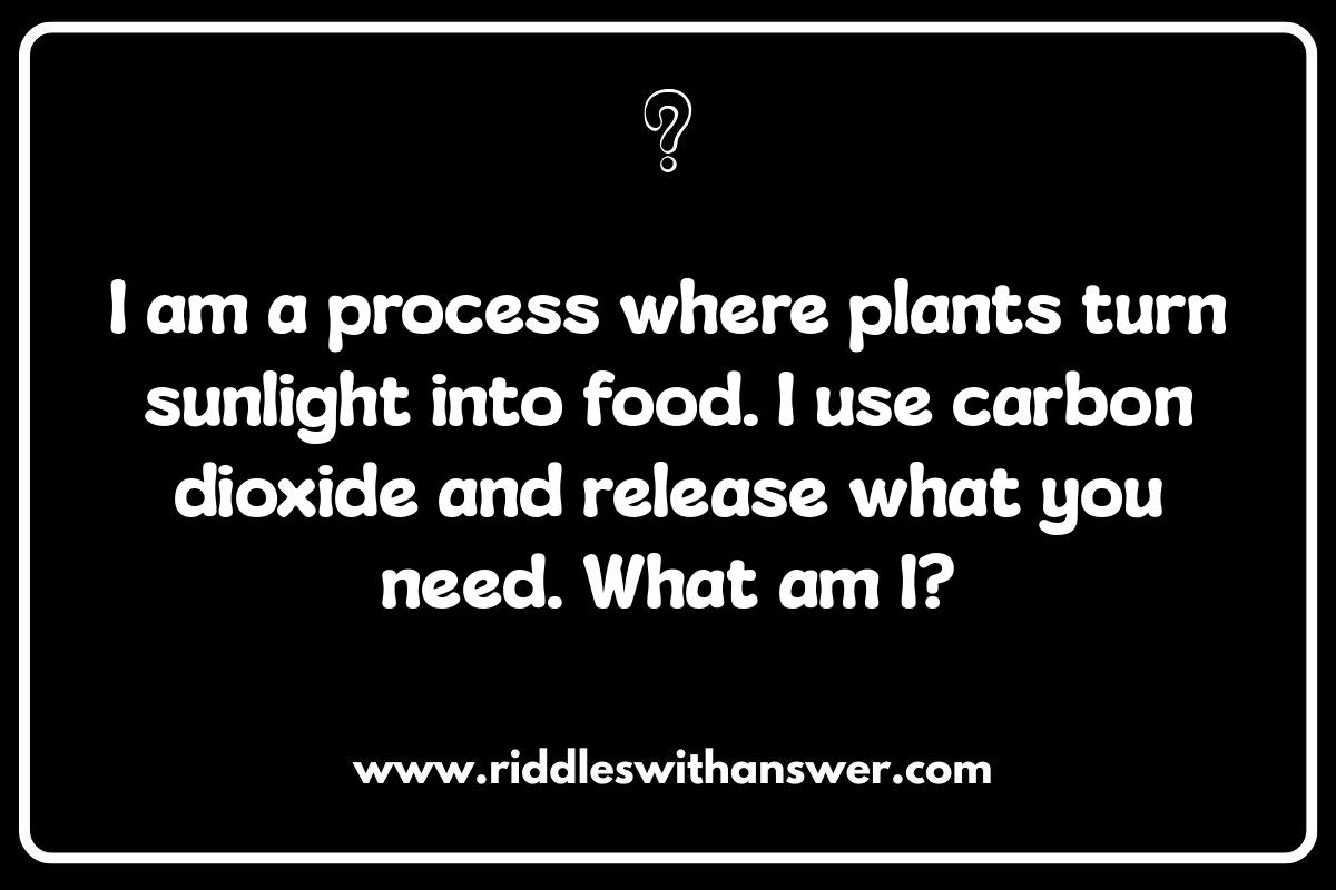 Educational Who Am I Riddles: Incorporating Various Subjects Educational Who Am I Riddles: Incorporating Various Subjects
