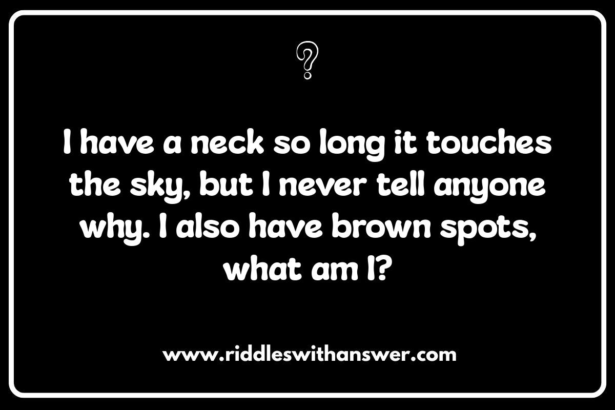 Funny Animal Riddles: Guaranteed to Make You Laugh Funny Animal Riddles: Guaranteed to Make You Laugh
