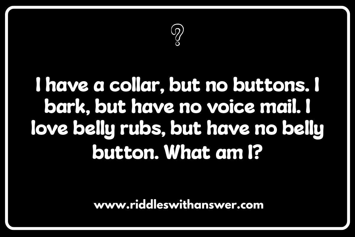 Funny Pet Riddles: Giggles Guaranteed Funny Pet Riddles: Giggles Guaranteed