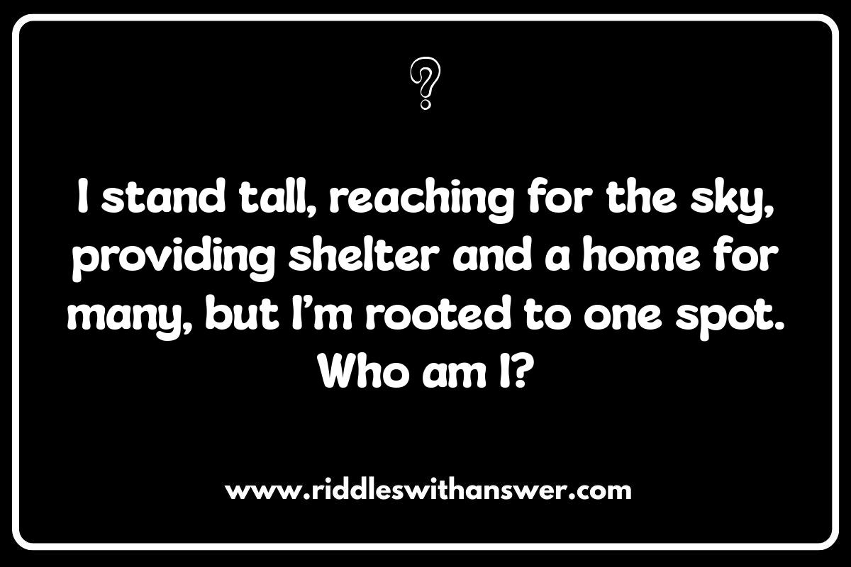 Nature-Themed Who Am I Riddles with Answers Nature-Themed Who Am I Riddles with Answers