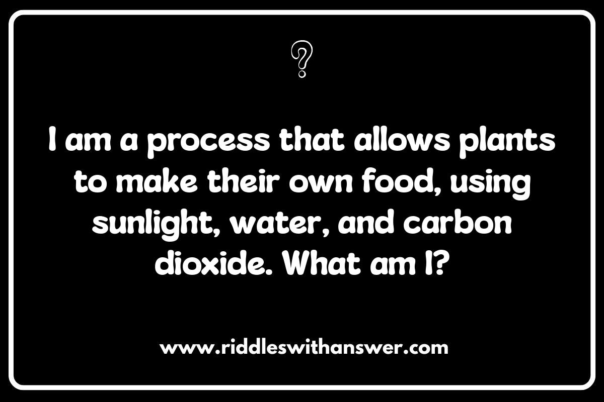 Science Riddles: Explore the World of Discovery Science Riddles: Explore the World of Discovery