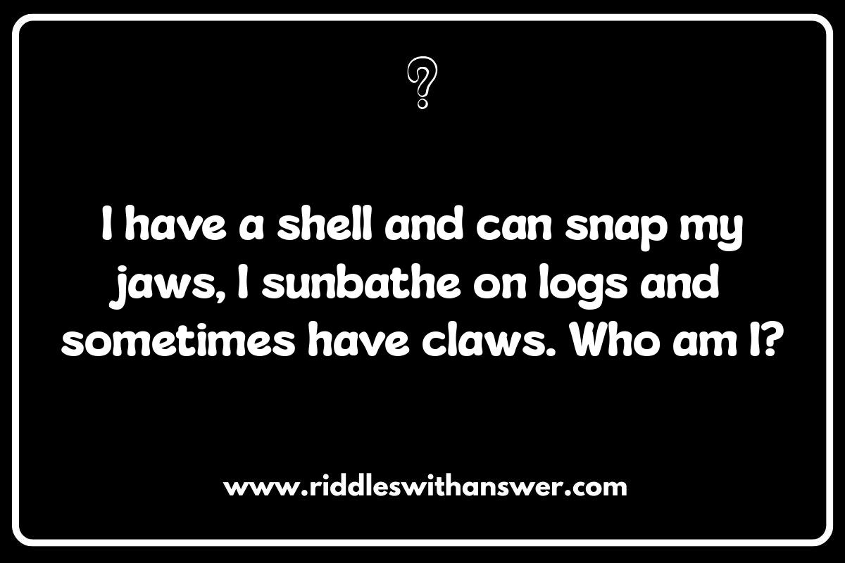 Who Am I Riddles for Kids: Developing Problem-Solving Abilities? Who Am I Riddles for Kids: Developing Problem-Solving Abilities?