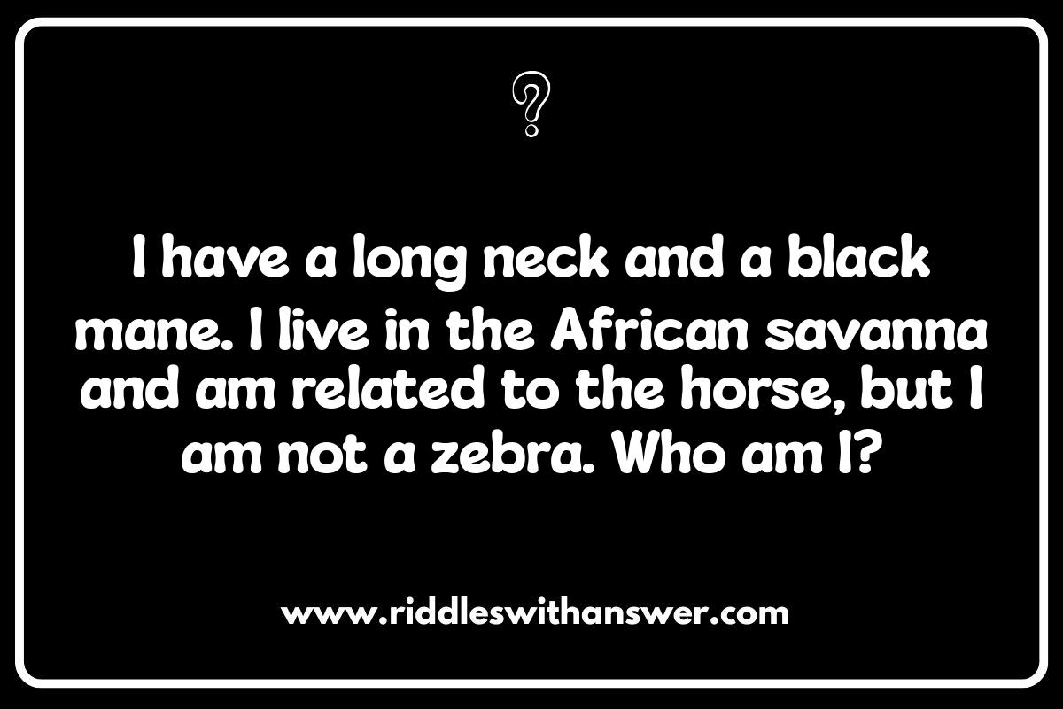 Who Am I Riddles for Parties: Tips for Hosting a Riddle Game Who Am I Riddles for Parties: Tips for Hosting a Riddle Game