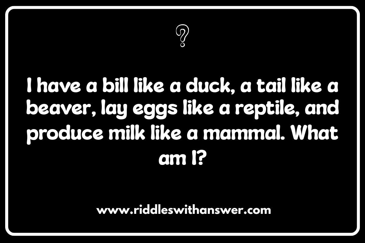 Wild Animal Riddles: Conservation Messages Hidden Within Wild Animal Riddles: Conservation Messages Hidden Within