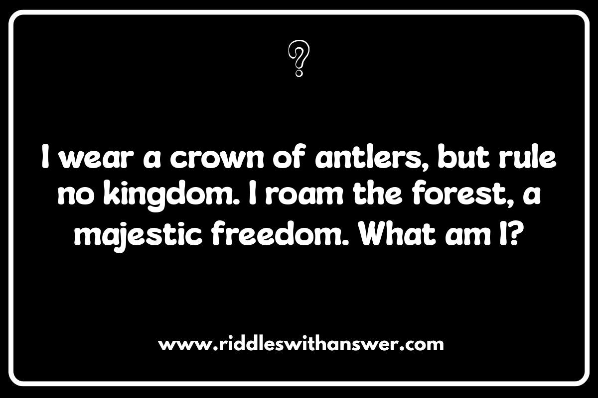 Wild Animal Riddles: For Kids and Adults Wild Animal Riddles: For Kids and Adults