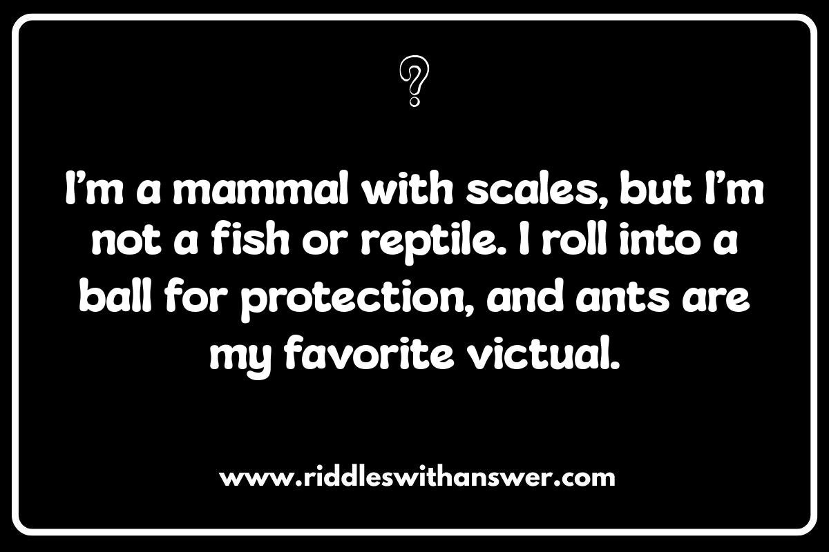 Wild Animal Riddles: Spot the Camouflaged Creature Wild Animal Riddles: Spot the Camouflaged Creature