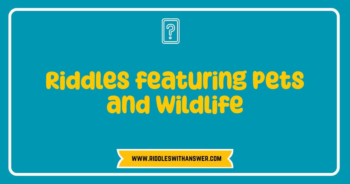 Best Riddles Pets and Wildlife Stump Your Friends With These Brain Teasers Best Riddles Pets and Wildlife Stump Your Friends With These Brain Teasers